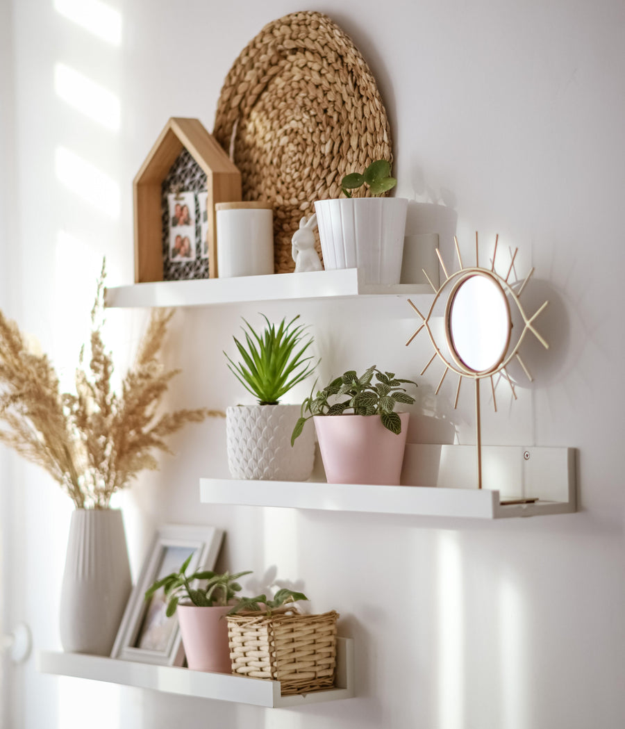Como usar prateleiras para organizar e decorar sua casa